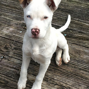 Meet your Posher, Maria